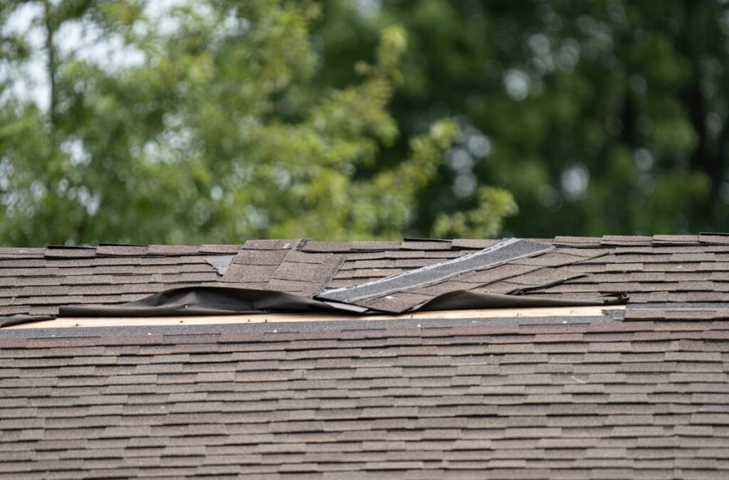 wind damage shingle roof